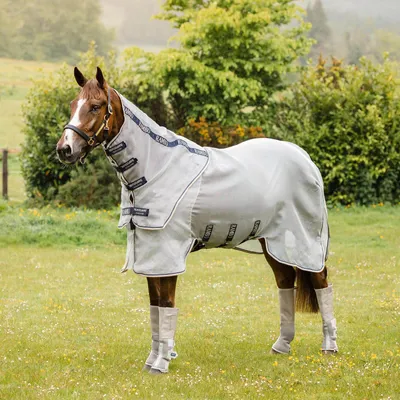 Produktbild von Horseware Rambo Protector Plus