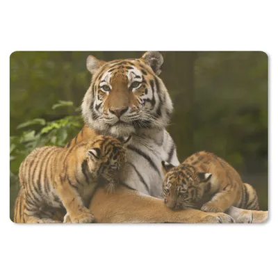 Produktbild von MuchoWow® Mauspad Mousepad Tiger - Jungtiere - Natur 27x18 cm - Mousepads - Maus Mat - Pad - Mausunterlage - Büroartikel - Desk Matten
