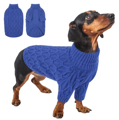 Immagine prodotto di Maglione per cani, inverno, gatto, chihuahua, Yorkshire, blu, taglia XS