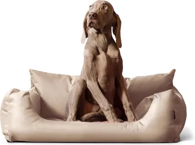Produktbild von tierlando NEMO Hundebett Hundesofa S M L Hundekorb Katzenbett 65 80 100cm - Größe: 100x80cm | Farbe: 14 Beige