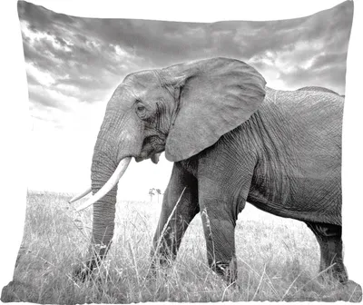 Produktbild von MuchoWow® Zierkissen Sofakissen Wohnzimmer Dekokissen 45x45 cm Elefant - Gras - Tiere - Schwarz und weiß - Schlafpolster - Polster für das Sofa
