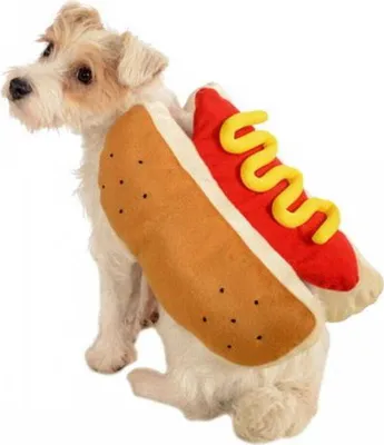 Produktbild von Witziges Hot Dog Kostüm für Hunde Größe: XL
