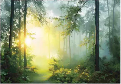 Produktbild von Fototapete 3D Effekt Wald Sonne Natur - 300x210 cm - inklusive kleister - Vlies Tapete - Vliestapete Wohnzimmer Schlafzimmer Küche Modern Wandtapete