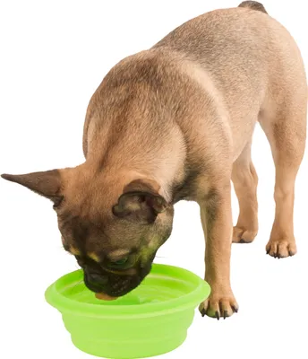 Produktbild von Kerbl Hunde-Futternapf Silikon Reisenapf (faltbar) 1000ml, grün; 80502