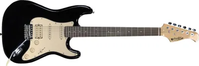 Obrázok produktu pre Prodipe Guitars ST83 RA Black