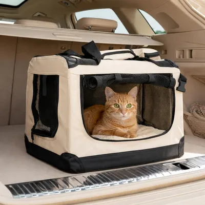 Produktbild von belviona Katzentransportbox, leichte & stabile Transporttasche Katzen, faltbar mit Mesh-Fenstern, Innenkissen & Taschen, 50x34x36 cm, beige