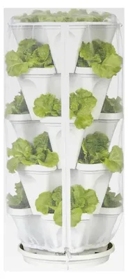 Produktbild von Gartennetz - Atmungsaktiver Schutz für Gemüse und Beeren im Garten