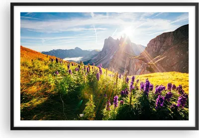 Produktbild von Gerahmtes Poster - Schwarzer Rahmen - Berge Wiese Blumen - 91,5x61 cm - Wand Bild - Wanddeko - Wandbilder - Kunstposter - Wandposter - Bilderrahmen - Bilder - Kunstdruck - Wandbild - P2BAA91x61-4008