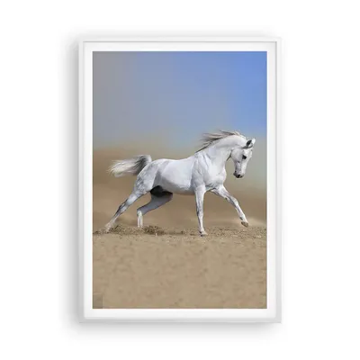 Produktbild von Gerahmtes Poster - Weißer Rahmen - Pferd weiß Tier - 70x100 cm - Wand Bild - Wanddeko - Wandbilder - Kunstposter - Wandposter - Bilderrahmen - Bilder - Kunstdruck - Wandbild - P2WPA70x100-0167