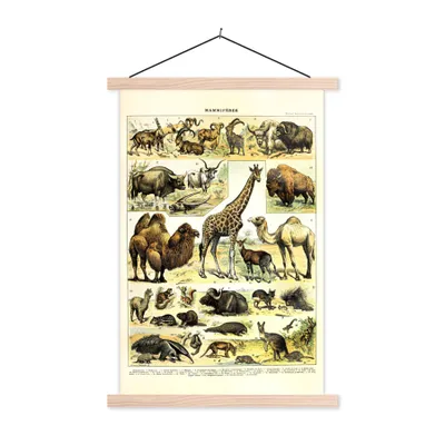 Produktbild von MuchoWow® Textilposter Tiere - Giraffe - Kamel 120x180 cm mit holzfarbenen Rahmen - Textil-Plakat