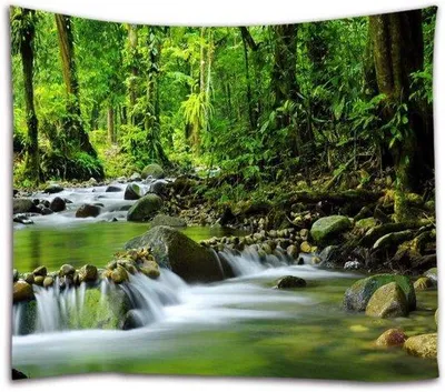 Obrázok produktu pre Veľkoformátová nástenná dekorácia – tlač vo vysokom rozlíšení – 102 x 153 cm – zelená