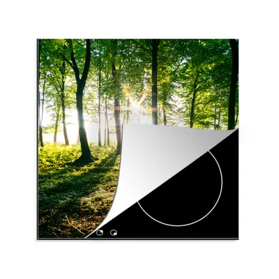 Produktbild von KitchenYeah© Herdabdeckplatte Die Sonne bricht durch die Wälder des Nationalparks Söderåsen in Schweden , 78x78cm, Küche Deko, Glaskeramikkochfeld Herdabdeckung, Abdeckplatte fùr Kochfeld