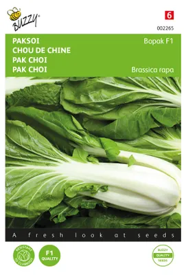 Obrázek produktu pro Pak Choi Bopak F1 | Semena pak choi od Buzzy Seeds