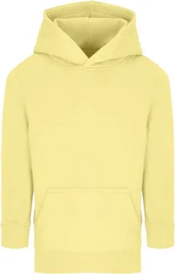 Imagen del producto de Sudadera con capucha para niños "Connor" (PC5952) (amarillo claro)