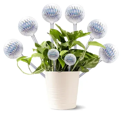 Image de Boules d'arrosage de 180 ml, lot de 6, en verre, pour plantes d'intérieur