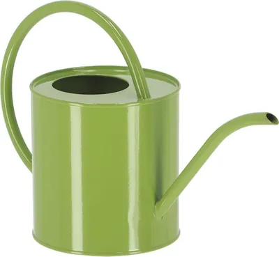 Produktbild von Esschert Design Gießkanne S Grün 1,3 Liter aus Metall