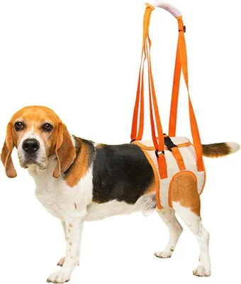 Immagine prodotto di Pettorina per cani con sistema di trazione posteriore, ausilio per il trasporto, per cani feriti