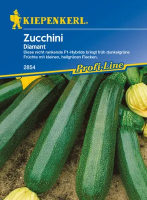 Produktbild von Zucchini Diamant F1 Hybride | Zucchinisamen von Kiepenkerl [MHD 01/2024]