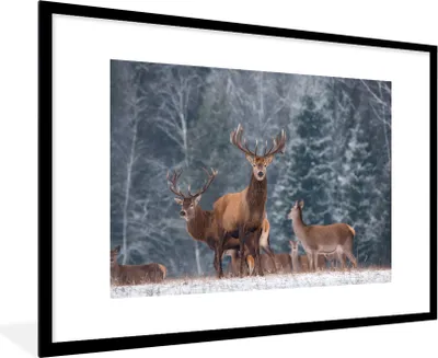 Produktbild von MuchoWow® MuchoWow® Gerahmtes Poster Hirsche - Tiere - Natur 90x60 cm - Poster mit zchwarzem Bilderrahmen - Wanddekoration - Fotos