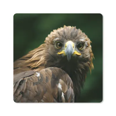Produktbild von MuchoWow® Mauspad Mousepad Adler - Braun - Raubvogel 30x30 cm - Mousepads - Maus Mat - Pad - Mausunterlage - Gaming