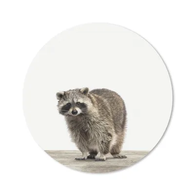Produktbild von MuchoWow® Mauspad Mousepad Waschbär - Tiere - weißer Hintergrund - Jungen - Mädchen - Kinder 40x40 cm - Mousepads - Maus Mat - Pad - Mausunterlage - Schreibtisch Accessoires