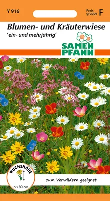 Artikelbild 1 von 'Blumen- und Kräuterwiese' aus der Kategorie Wildblumensamen