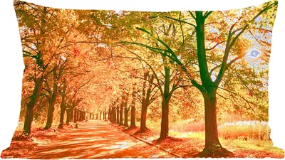 Produktbild von MuchoWow® Zierkissen Sofakissen Wohnzimmer Dekokissen 60x40 cm Wald - Herbst - Jahreszeiten - Ländlich - Kopfkissen - Polster mit Foto