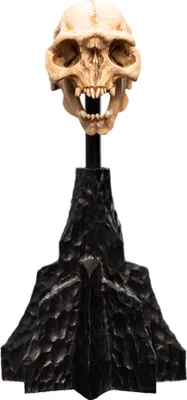 Productafbeelding van "Heer der Ringe" miniatuurbeeldje: schedel van een ork uit Moria, 13 cm