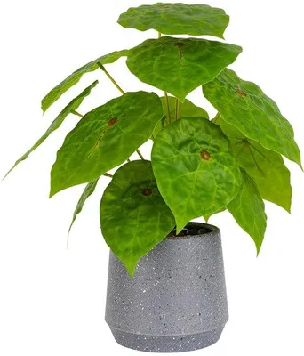 Image de Plante artificielle verte de 32 cm pour la décoration de la maison ou du bureau