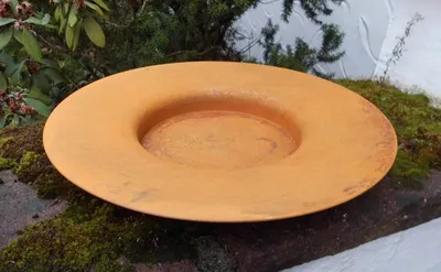 Produktbild von Dekorativer, großer Eisenteller Pflanzschale Dekoschale Rost 47 cm Durchmesser
