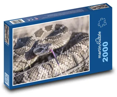Obrázok produktu pre Puzzle 2000 Divoký chřestýš v púšti - martinpuzzle