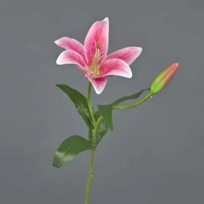 Produktbild von artplants.de Künstliche Tigerlilie MIXLON, rosa, 55cm - Kunstblume Lilie