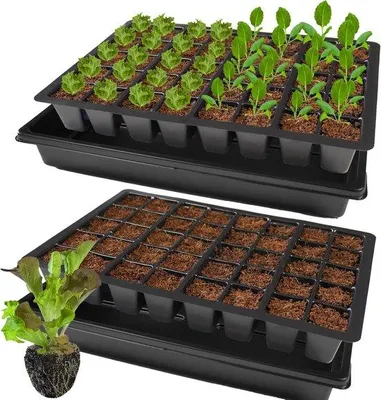 Produktbild von Famanu Anzuchtplatten stabil - 2 Stück mit Untersetzern - 80 Pflanzlöcher