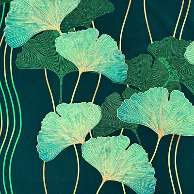 Produktbild von Baumwolle 100% Ginkgo-Blätter grün auf dunkelgrünem Hintergrund