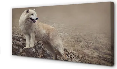 Produktbild von Leinwandbild 120x60 Wandkunst Wolf Berge