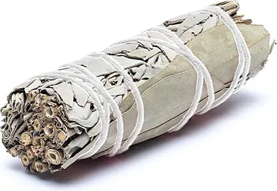Immagine prodotto di Smudge di salvia bianca con eucalipto S Set di 2 - ±10-11 cm; ±25-35 g