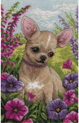 Obrázek produktu pro Výšivací plátno s potiskem "Chihuahua" pro techniku křížkové výšivky, rozměry 16x26 cm, včetně schématu