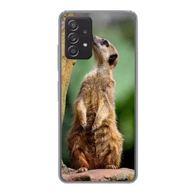 Produktbild von MuchoWow® Handyhülle Schutzhülle Hülle für Samsung Galaxy A53 5G Erdmännchen - Tier - Rock Silikon Softcase Handy Hülle - Schutzabdeckung