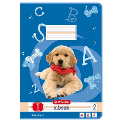 A notebook cover featuring a golden retriever puppy wearing a red bandana, surrounded by alphabet letters and dog bone graphics.