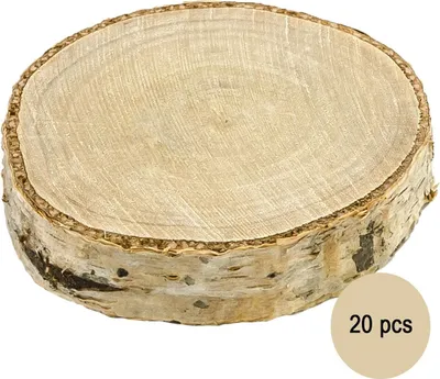 Baumscheibe Birke 20 Stück 4,5-6,5 x 1 cm Holzscheibe Tisch-Deko Basteln DIY Bastelbedarf Namensschild Baumscheibe zum Beschriften Hochzeit Geburtstag