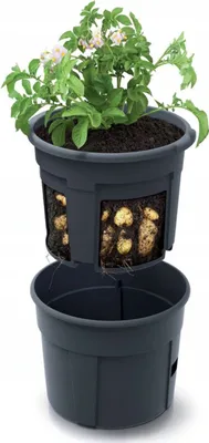 Zdjęcie produktu dla Doniczka do ziemniaków Prosperplast POTATO GROWER 29,5 cm antracytowa