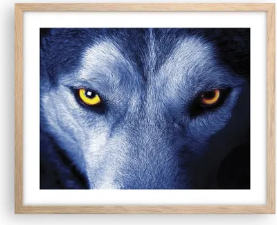 Produktbild von Gerahmtes Poster - Rahmen in heller Eiche - Schau der Wolf Augen - 50x40 cm - Wand Bild - Wanddeko - Wandbilder - Kunstposter - Wandposter - Bilderrahmen - Bilder - Kunstdruck - P2NAA50x40-4587