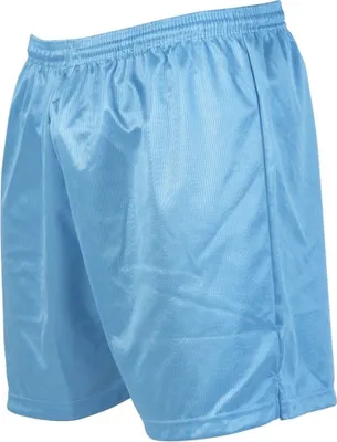 Produktbild von Precision Erwachsenen-Fußballshorts mit Mikro-Streifen RD124 (M  - L) (Himmelblau)