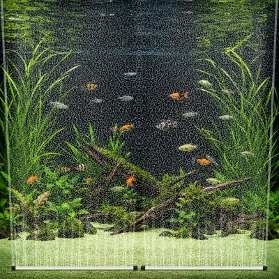 Aquarium Sauerstoff-Bubbelstrips, 55 cm, 2 Stück