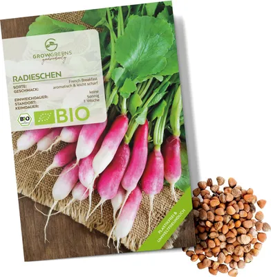 Produktbild von Radieschen Samen (French Breakfast, 75 Korn) - Radieschen Saatgut aus biologischem Anbau ideal für die Anzucht im Garten, Balkon oder Terrasse