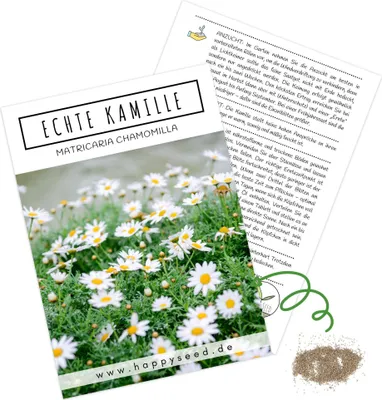 Produktbild von Echte Kamille Samen (Matricaria chamomilla) - Krautige, vielseitige Heilpflanze oder als Beimischung für eine bunte Blumenwiese