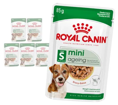 Produktbild von Royal Canin Mini Ageing 6x85g Feuchtfutter für ältere Hunde kleiner Rassen