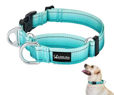 Image de Collier martingale pour chien, avec arrêt de traction, en nylon réfléchissant, couleur turquoise, taille S