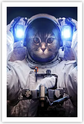 Produktbild von Poster - Poster ohne Rahmen - Kosmonaut Katze - 61x91,5 cm - Wand Bild - Wanddeko - Wandbilder - Kunstposter - Wandposter - Bilder - Kunstdruck - Wanddekoration - Wandbild - P2XPA61x91-3734