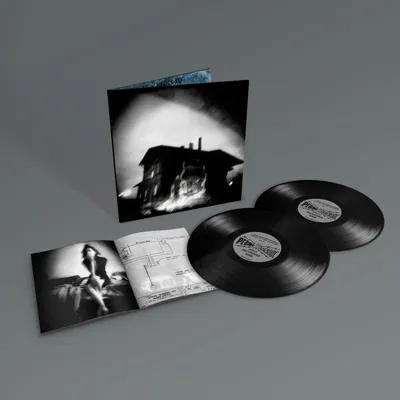 Sings Reign Rebuilder – 2er-LP-Set, Limited Edition, Rock